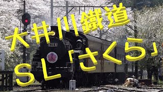 【大井川鐵道】桜満開！C10-8 SLさくら号♪ 21000系＆16000系も♪ in 家山駅