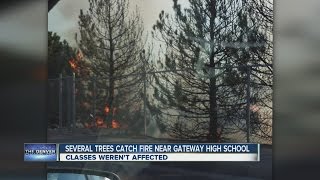 Several tress catch fire near Gateway High School