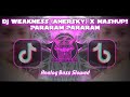 DJ Weakness (Anersky) x Mashup!! Pararam Pararam - Analog Slowed Remix 2k24 (DJWELLMARKREMIX)