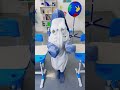 Shark Adventure at School