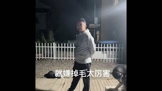 狗   每一个爱狗人士 都有被同类伤害过