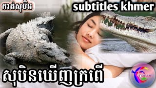 សុបិនឃើញសត្វក្រពើ(subtitles khmer)_@សុបិនDream