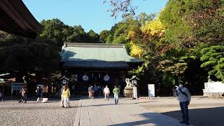 秋の散歩　宇都宮　二荒山神社　菊水祭　2022/10/30 11