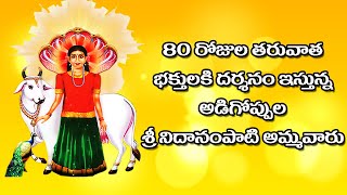 80 రోజుల తరువాత అడిగొప్పుల అమ్మవారి దర్శనం ||Sri Nidanampati Ammavari Bhakthi Channel