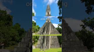 The Mysterious Mayan Civilization Collapse