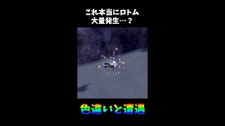 大量発生と全然違う子が光るんだけど！？！？これほんとにロトムの大量発生！？【ポケモンSV】#shorts