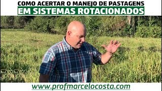 COMO ACERTAR O MANEJO DE PASTAGENS EM SISTEMAS ROTACIONADOS | PROFESSOR MARCELO COSTA