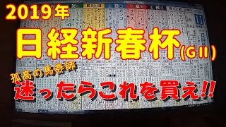 【孤高の馬券師】2019年日経新春杯・迷ったらこの1馬！【穴馬予想】