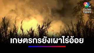 เกษตรกรยังจุดไฟเผาไร่อ้อย แม้รัฐฯ พยายามประชาสัมพันธ์ | ข่าวเด็ด 7 สี