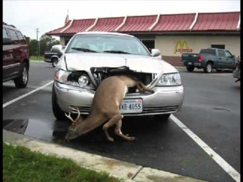 Need An Bambulance Funny 911 Call Youtube