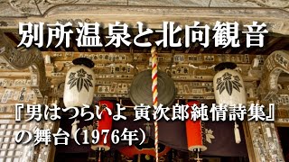 【上田市 別所温泉】古来、枕草子に「七久里の湯」と記され、美人の湯として名高い別所温泉。温泉街には北向観音、近郊に安楽寺、常楽寺といった鎌倉時代の北条氏ゆかりのお寺が残り「信州の鎌倉」と呼ばれます。