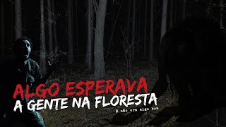 Eles entraram na floresta mas não estavam prontos para o que os esperava