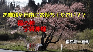 ２０２０珍百景登録「福の神　宇賀神様」