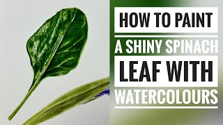 How to paint a shiny spinach leaf with watercolours : Real time clips : botanical art tutorial