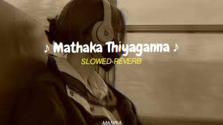 Mathaka thiyaganna |slowed + reverb @maniya_slowed_reverb_music