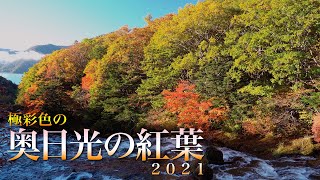 [4K] 極彩色の奥日光の紅葉 2021 / The Best of Autumn Leaves at Nikko National Park, Japan in 2021