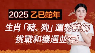 詳解2025蛇年【生肖猪】【生肖狗】运势 挑战和机会并存