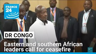 Eastern and southern African leaders call for ceasefire in DR Congo • FRANCE 24 English