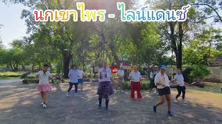 นกเขาไพร - ไลน์แดนซ์