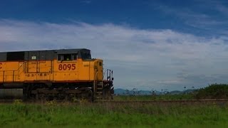 UP 8095 running along highway 99 east between Halsey \u0026 Harrisburg, Oregon 12-May-2010