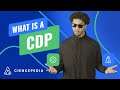 What is a Customer Data Platform (CDP)? | CIENCEPEDIA