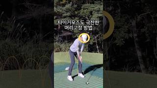 타이거우즈도 울고간 최고의 헤드업방지⛳️ #골프연습 #골프레슨 #골프스윙 #아이언스윙 #아이언 #골프장 #라운딩