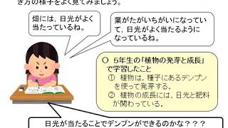 小６理科（大日本）植物の成長と日光の関わり①～⑤