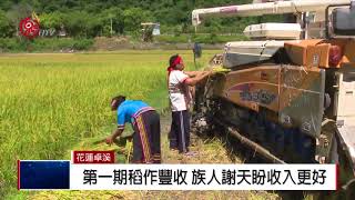 南安有機專區稻作收割 布農儀式祈福 2018-06-26 IPCF-TITV 原文會 原視新聞