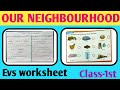 Worksheet of Our Neighbourhood for Class 1st | EVS Worksheet for class 1 | My Neighbours