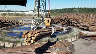 Circle crane at Georgia sawmill unloading log truck