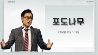 포도나무/ 요 15:1-12/ 241229/ 주일예배3부