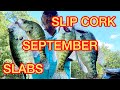 CRAPPIE FISHING IN SEPTEMBER  “GET THE NET”