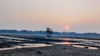 প্রত্যন্ত গ্রামে শীতের বিকালের মনোমুগ্ধকর দৃশ্য A charming winter afternoon scene in a remote villag