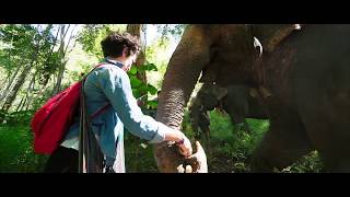 HUG  ELEPHANTS SANCTUARY CHIANG MAI  🐘