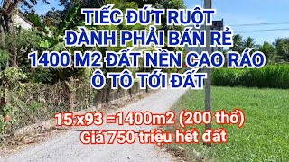 Bán đất Tiền Giang | Buồn Lắm A Tèo Bán 1400m2 Đất Trả Nợ Giá:750 triệu hết đất | Nhà Đất Phương Lâm