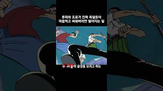 루피와 조로가 진짜 마음먹고 싸워버리면 벌어지는 일 #원피스