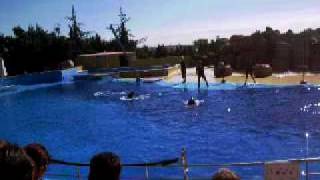 marineland espania 30