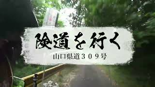 【2023@スーパーカブJA10】険道を行く（山口県道３０９号）山口市～萩市（佐々並）～ぶっ飛びバージョン～