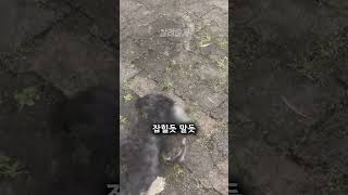 너 오늘부터 내 엄마가 돼라! #shorts