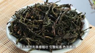 凤凰单枞的发展史#茶知识 #召唤茶友 #茶文化知识 #茶香四溢