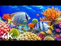 4K Amazing Aquarium 🐟 Rare & Colorful Sea Life Video 🐠 Peaceful Relaxation Music | 4K Video Ultra HD