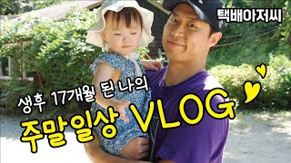 [일상] VLOG l 생후17개월.. 나의 주말 브이로그