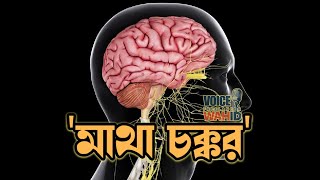 বসে থেকে উঠে দাঁড়ালেই হঠাৎ 'মাথা চক্কর'। আপনারও কি হয়? কারণ কি জানেন?