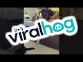 Cat Doesn't Like it When You Touch His Dog Friend || ViralHog