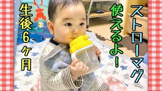 【ストローマグ】ついにストローマグも使えるようになった！？生後6ヶ月の赤ちゃん。At last, she can use Straw mug!