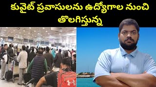 కువైట్ ప్రవాసులను ఉద్యోగాల నుంచి || Kuwait Expats Employees || STV Telugu News