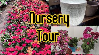 #Nursery  #Plants # NurseryTour , #Gardening #Repotting #Latest LED pot varieties