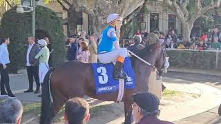 Gran Premio de las Americas (G1) 2023. - Ganador Subsanador, redonda, salida a pista.-