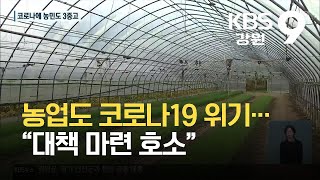 농업도 코로나19 위기…“대책 마련 호소” / KBS  2021.10.09.