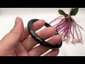 grade a black jadeite bangle